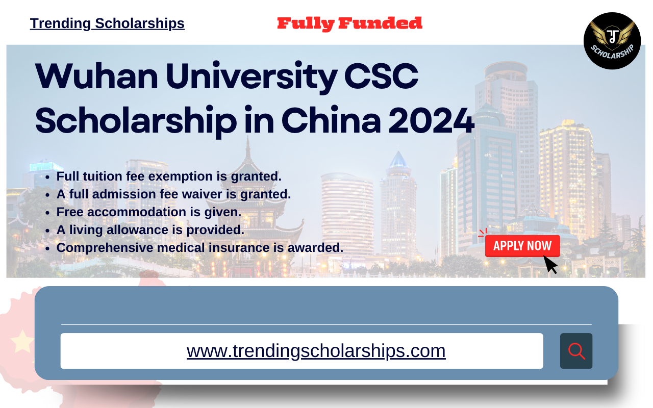 CSC Scholarship 2024