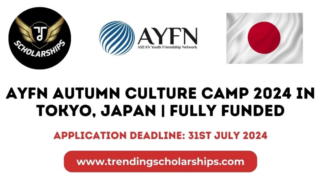 AYFN Autumn Culture Camp 2024 in Tokyo, Japan | Fully Funded